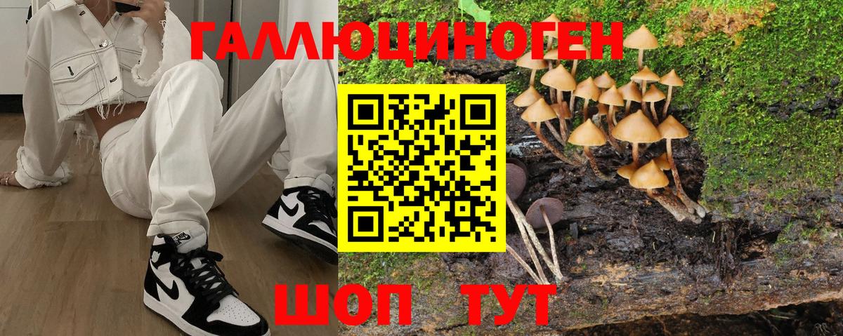 Галлюциногенные грибы Cubensis Можга