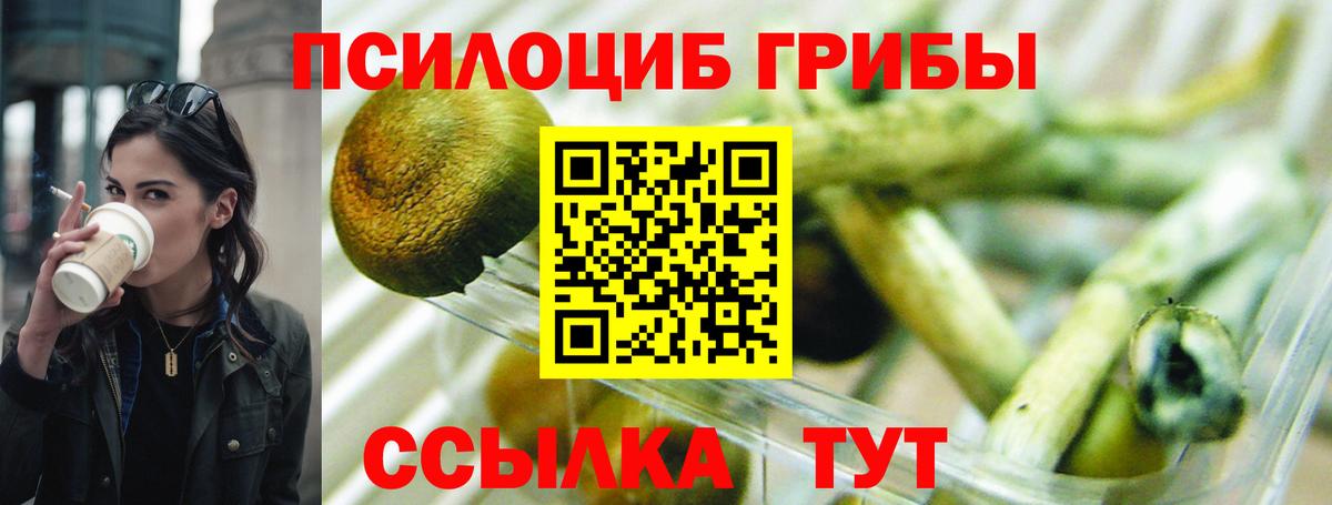 Можга  Псилоцибиновые грибы MAGIC MUSHROOMS  что такое наркотик  Вход с VPN  Галлюциногенные грибы GOLDEN TEACHER 